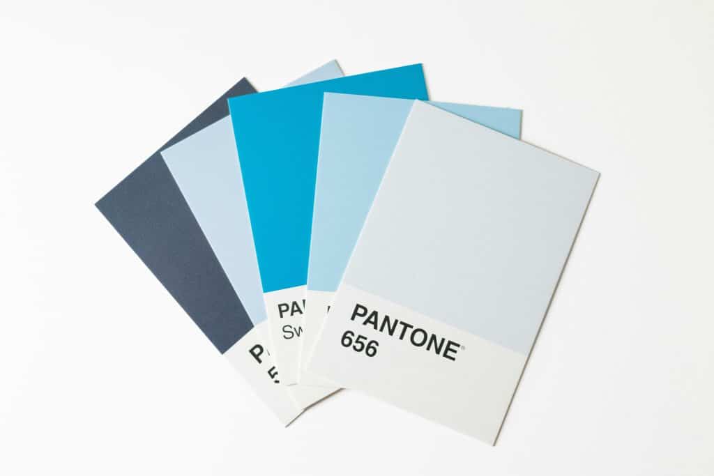 brand identity colori